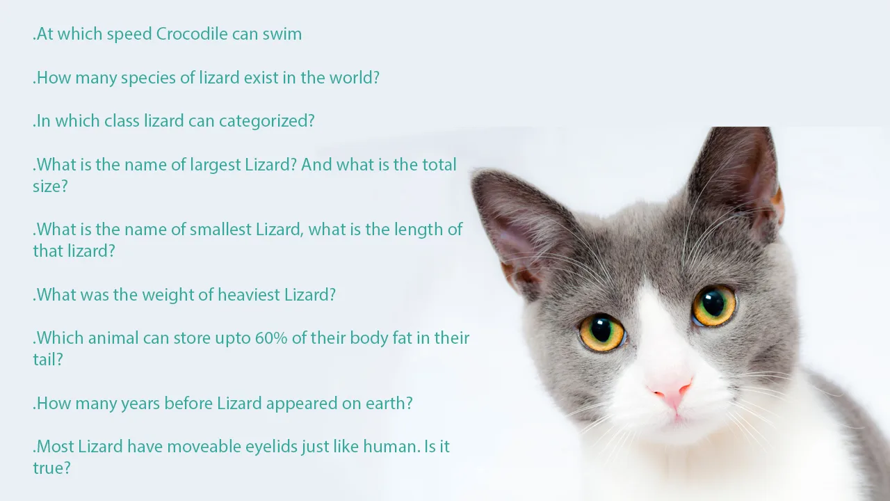 Bible trivia questions about animals