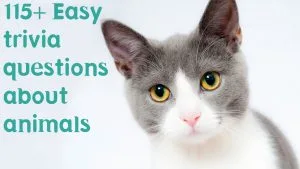 Easy trivia questions about animals