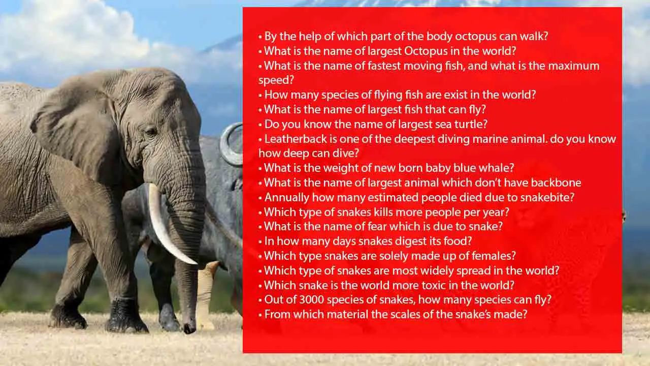animal-quiz-questions-and-answers-for-adults
