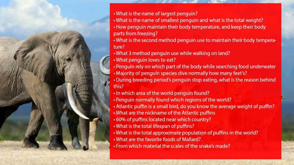 animal trivia-questions and-answers-printable