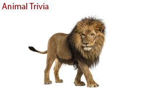 animal trivia questions category9