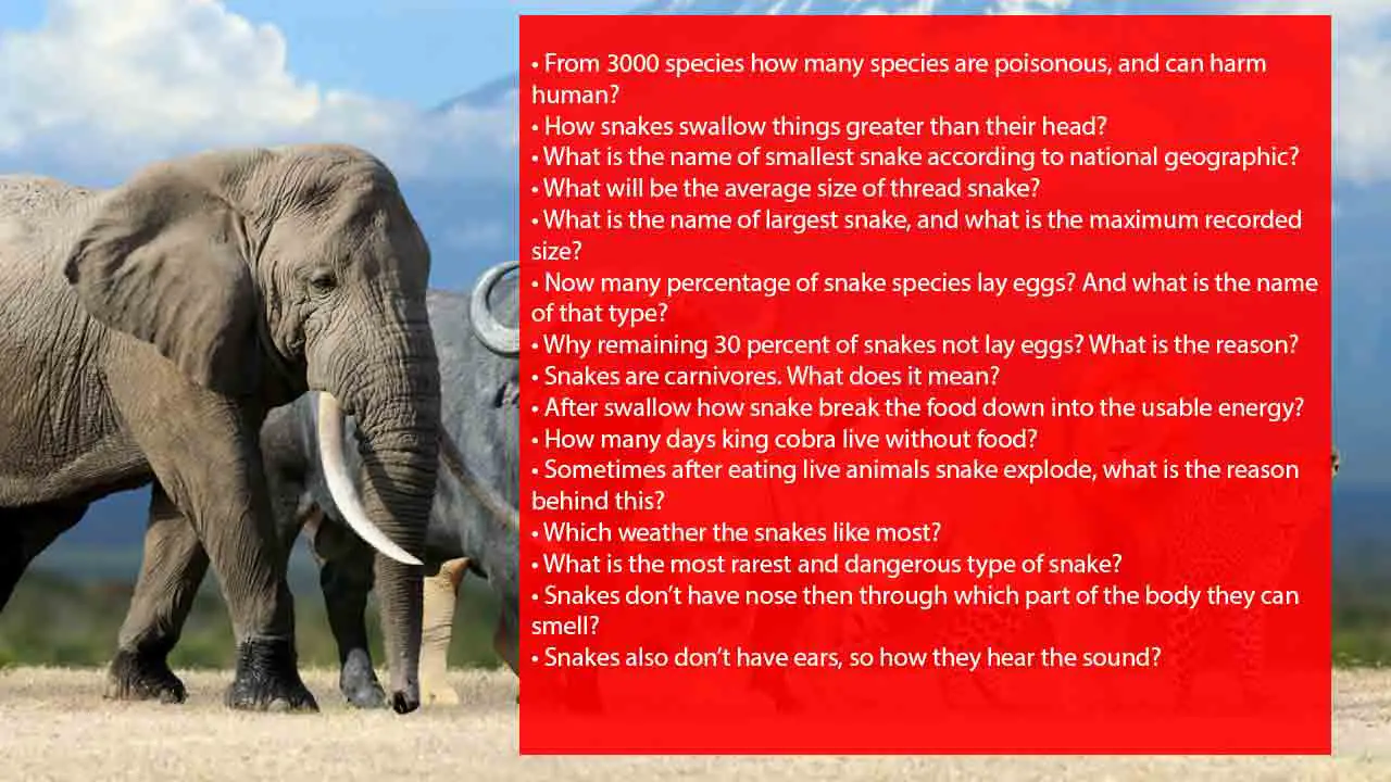 random-animal-trivia-questions