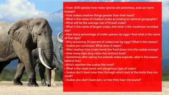125+ best animal trivia questions and answers [Unique List]