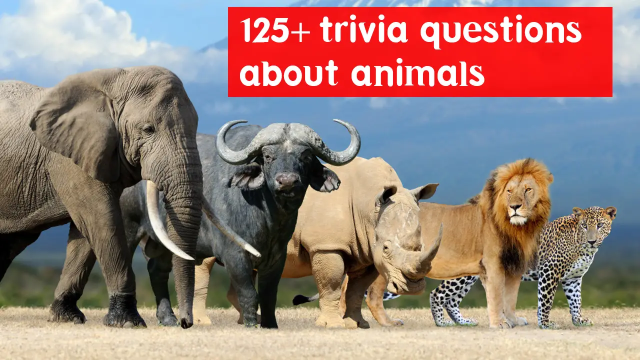 125+ best animal trivia questions and answers [Unique List]