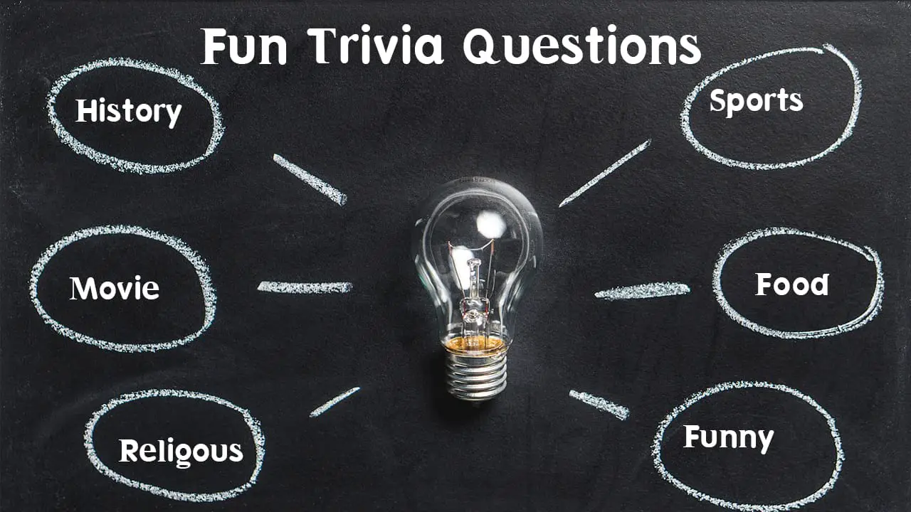 Fun trivia questions