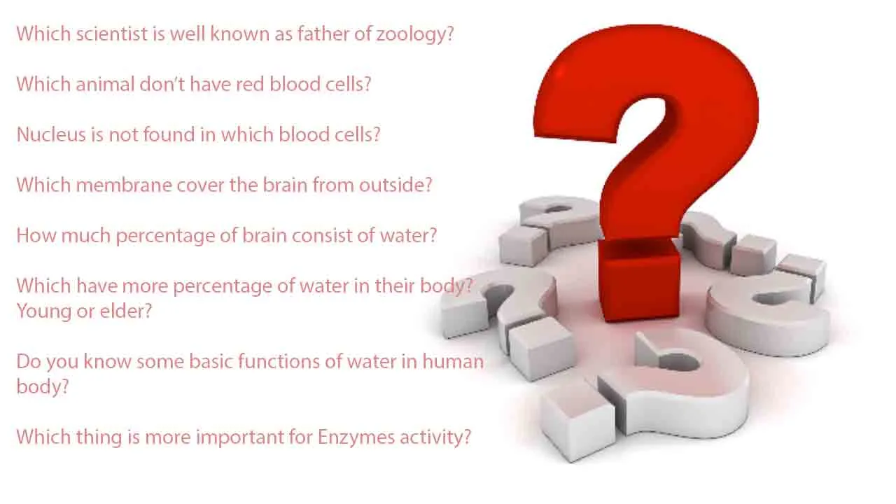 general-trivia-questions-and-answers 2017