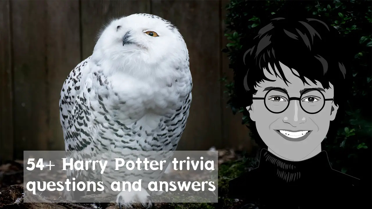 harry potter trivia questions and answers