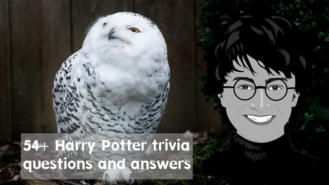 54 Harry Potter Trivia Questions And Answers Novel Movie