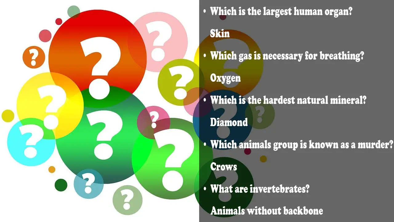 5th Grade Trivia Question