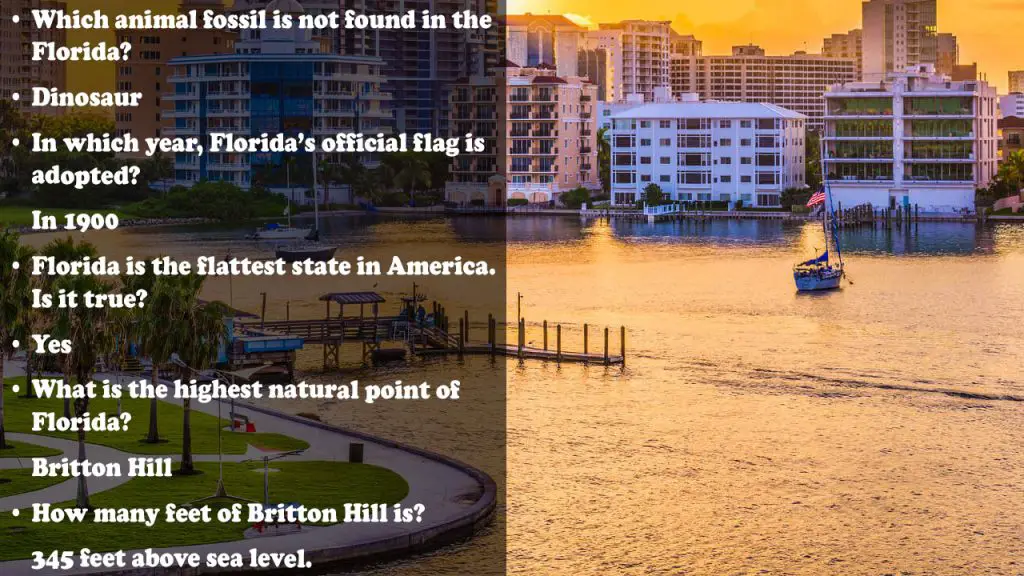 90+ Florida Trivia Questions And Answers