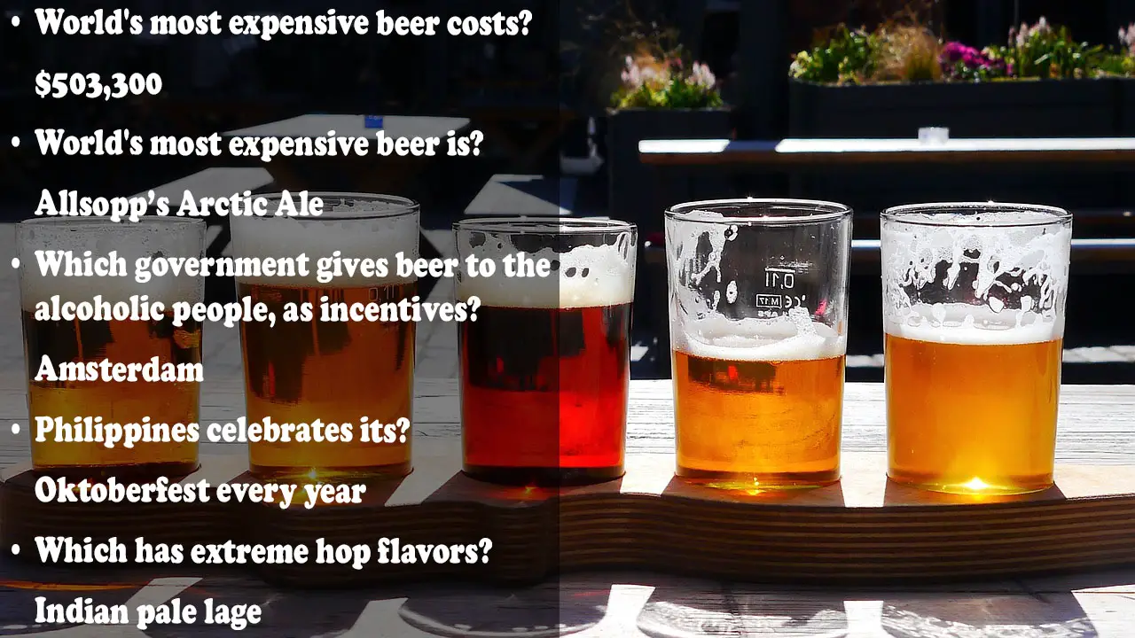 Beer Trivia Questions