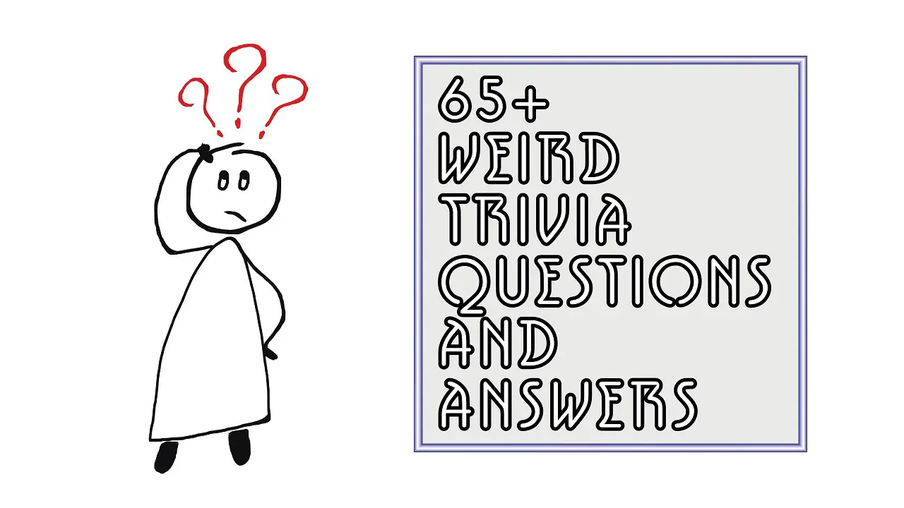 65+ Weird Trivia Questions and Answers