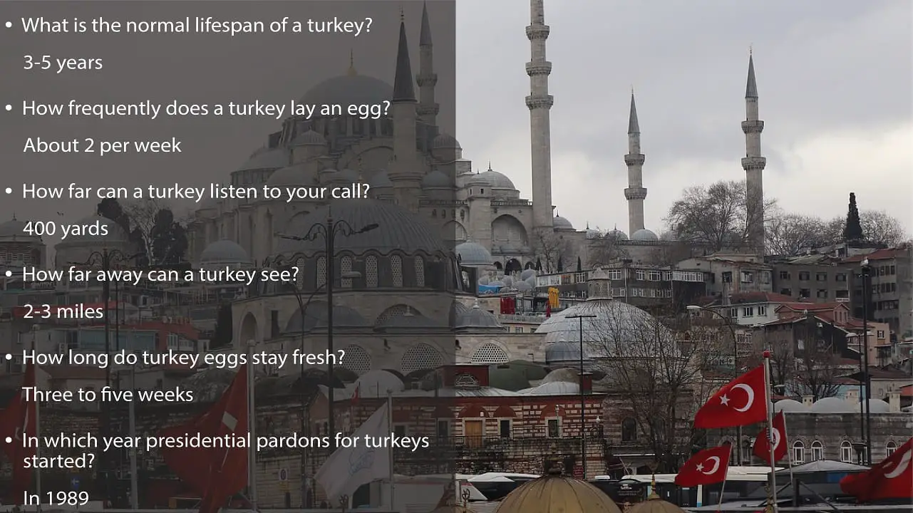 Turkey trivia