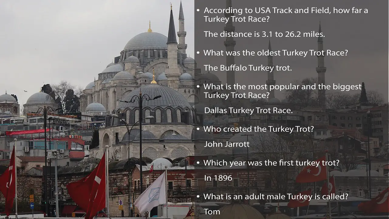 Turkey trivia