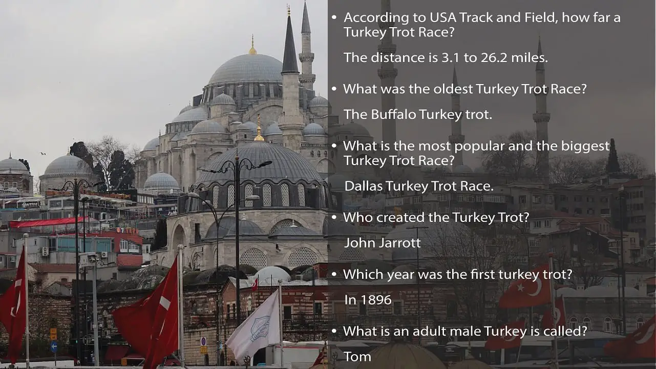 70+ Turkey Trivia Questions And Answers 2024