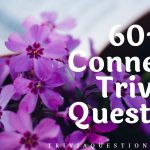 60+ Connecticut Trivia Questions