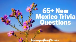 New Mexico Trivia Questions