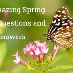 60+ Amazing Spring Trivia Questions and Answers