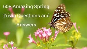 Spring Trivia